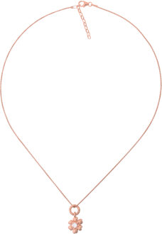 Dames 925 Sterling Zilveren Ketting met Hanger - Roze ZH-4854/1 Rosé