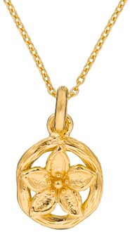 Dames 925 Zilveren Set: Ketting-Pendant + Oorbellen - Goud SET-6029/1