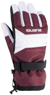 Dames alessia skihandschoenen - maat S / M Paars