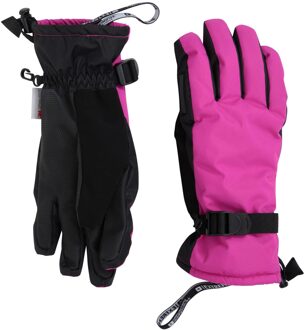 Dames/Dames Extreme Waterdichte Skihandschoenen (Helder Roze)