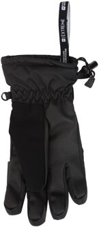 Dames/Dames Extreme Waterdichte Skihandschoenen (Zwart)