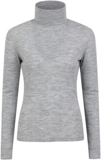 Dames/Dames Merino Wol Roll Hals Base Layer Top (Lichtgrijs) - EU 44 / UK 16