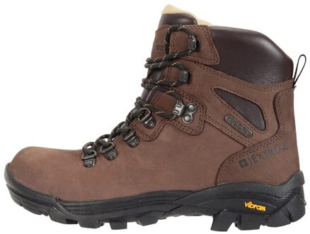 Dames/Dames Odyssey Extreme Nubuck Wandelschoenen (Bruin)