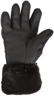 Dames/Dames Parallax Waterdichte Skihandschoenen (Zwart)