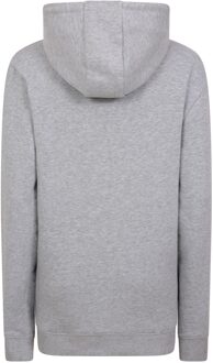 Dames/Dames Schotse Vlag Overhead Hoodie (Lichtgrijs) - XL