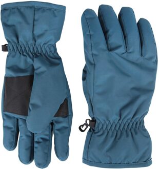 Dames/Dames Skihandschoenen (Donker groenblauw)
