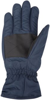 Dames/Dames Skihandschoenen (Marine) Navy