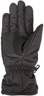 Dames/Dames Skihandschoenen (Zwart) - L