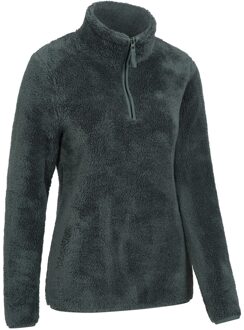 Dames/Dames Teddy Fleece Quarter Zip Fleece Top (Groen) - EU 40 / UK 12