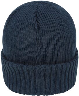 Dames Extreme Thinsulate Waterdichte Beanie (Navy)
