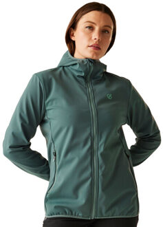 Dames iced soft shell jas Grijs - 38