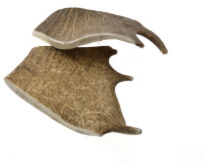 Damhert gewei hondensnack M