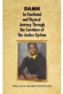 Damn: An Emotional And Physical Journey Through The Corridors Of The Justice System - Winstead, Wallace Sharik