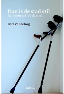 Dan is de stad stil - Boek Bert Vondeling (9491773208)