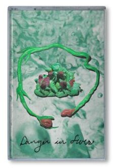 Danger In Fives - Wombo