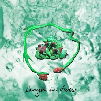 Danger In Fives - Wombo