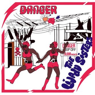 Danger - The Lijadu Sisters