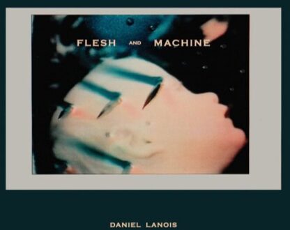 Daniel Lanois - Flesh And Machine