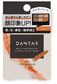 DANTAR Multi Face Palette Fox Orange 1 pc