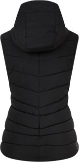 Dare 2b Dames/Dames Complicate II Baffled Gilet (Zwart) - maat