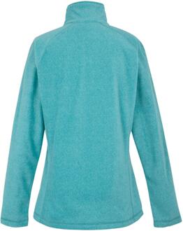 Dare 2b Dames/Dames Mayse Full Zip Fleecejack (Turquoise mergel)