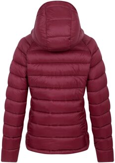 Dare 2b Dames/Dames Torrek Gewatteerd Jasje (Afb.) Rood - EU 34 / UK 6