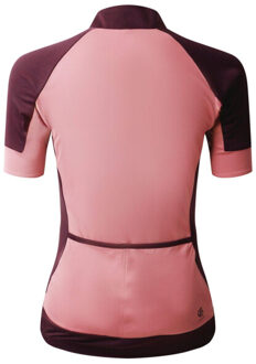 Dare 2b Dames fladdertrui Grijs - 42