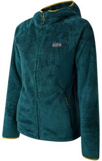 Dare 2b Dames torrek mountain pro midlayer Groen - 36