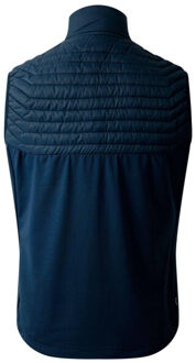 Dare 2b Heren afdaling ii gilet Blauw - S