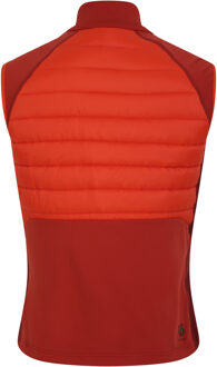Dare 2b Heren aflopend gilet Rood