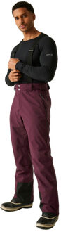 Dare 2b Heren skibroek achieve ii Paars - XL