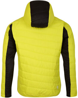 Dare 2b Heren touring gewatteerd jack Groen - XL