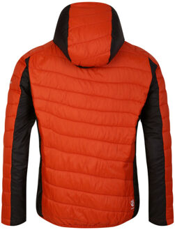 Dare 2b Heren touring gewatteerd jack - maat S Rood