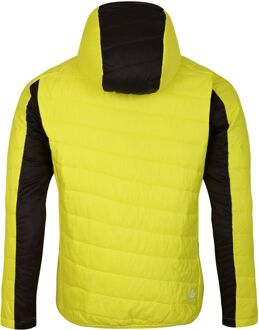 Dare 2b Heren Touring gewatteerd jack (Neon Lente/Donkere Storm) Neon-multi