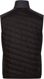 Dare 2b Heren Touring Gewatteerd Lichtgewicht Gilet (Ebbenhout/zwart) Donkergrijs