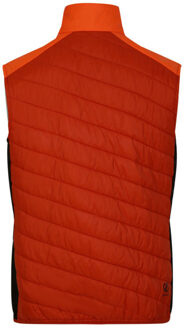 Dare 2b Heren touring gewatteerd lichtgewicht gilet Oranje - XXS