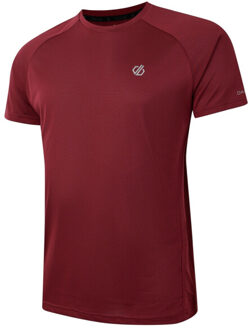 Dare 2b Heren versnellen lichtgewicht t-shirt Paars - XS