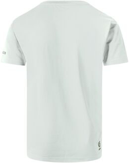 Dare 2b Jongens Amuse II Velociraptor T-Shirt (Aqua Grijs) - maat Lichtgrijs