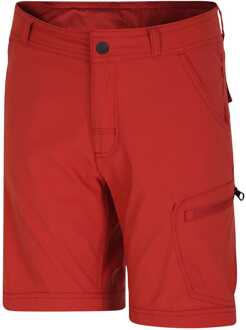Dare 2b Juniors Reprise II Korte Broek in Rood
