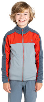 Dare 2b Kinder/kids emergent iv stretch midlayer Grijs - 104