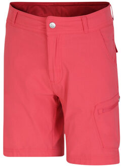 Dare 2b Kinder/kids reprise ii korte broek Paars - 164