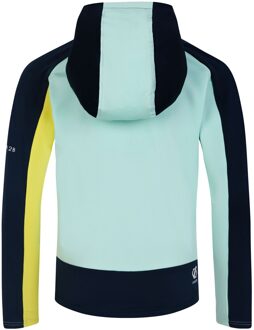 Dare 2b Kinder/kids thriving ii midlayer Licht Groen