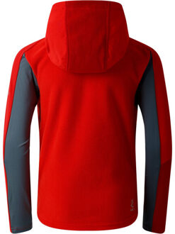 Dare 2b Kinder/kids thriving iv fleecejack Rood - 104