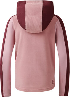 Dare 2b Kinder/Kids Thriving IV Fleecejack (Vijgen/Lila's) Kastanjebruin