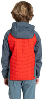 Dare 2b Kinder/kinder explore ii colour block hybride jas Grijs - 104