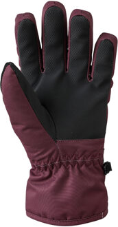 Dare 2b Kinder/Kinder Glacier Winterhandschoenen (Afb.) - maat Rood