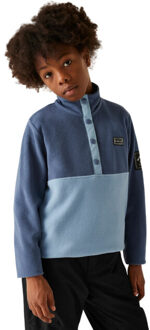 Dare 2b Kinder/kinder rapid fleece top Blauw - 158