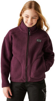 Dare 2b Kinder/kinder zesty ii fleecejack Paars - 104