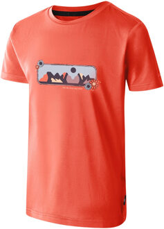 Dare 2b Kinderen/Kinderen Amuse II Aap T-Shirt (Perzikbloesem) - maat