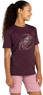 Dare 2b Kinderen/kinderen amuse ii dinosaurus skelet t-shirt Paars - 104